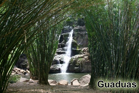 Guaduas