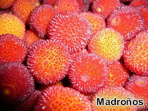Madroños